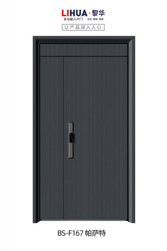 BS-F167 帕萨特